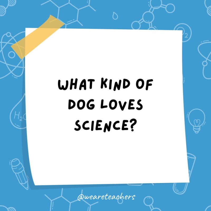 Science Jokes a post it note clipart with the joke: what kind of dog loves science?