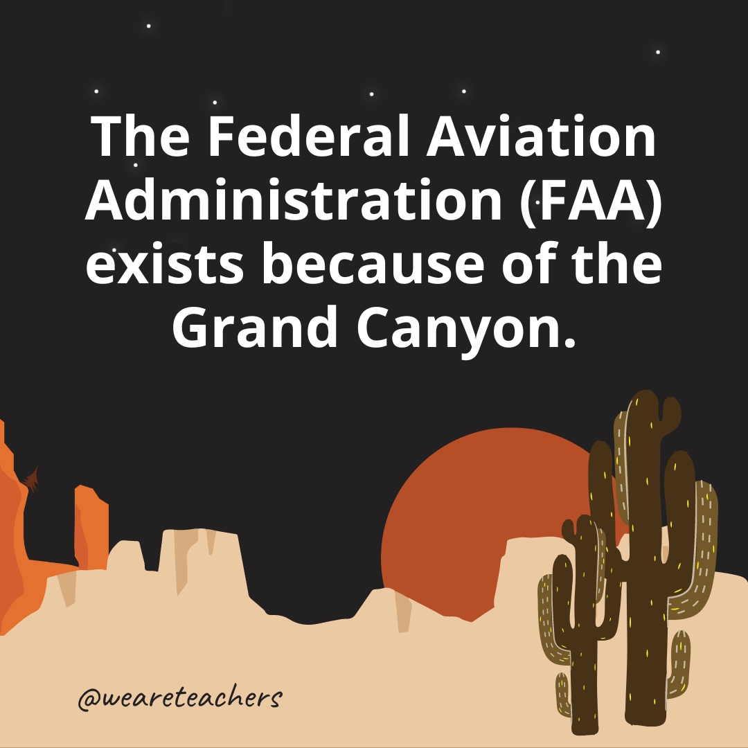 The Federal Aviation Administration (FAA) exists because of the Grand Canyon.