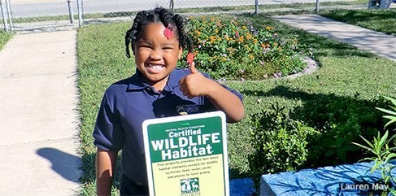 3-SchoolyardHabitat