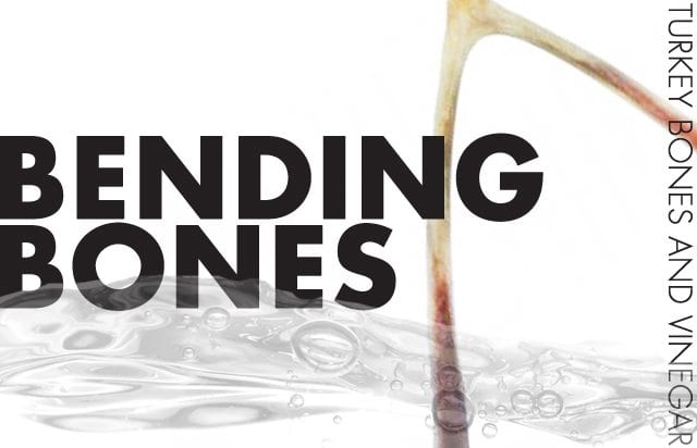 Bending-Turkey-Bones