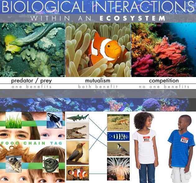 Biological-Interactions