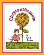 chrysanthemum sm