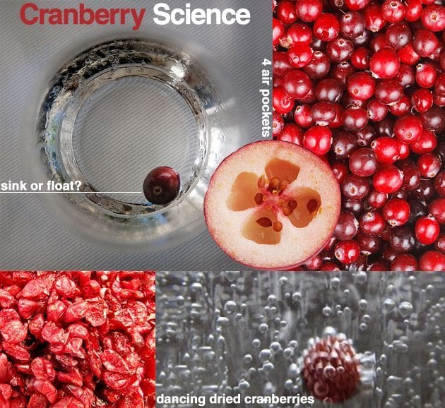 Cranberry-Science