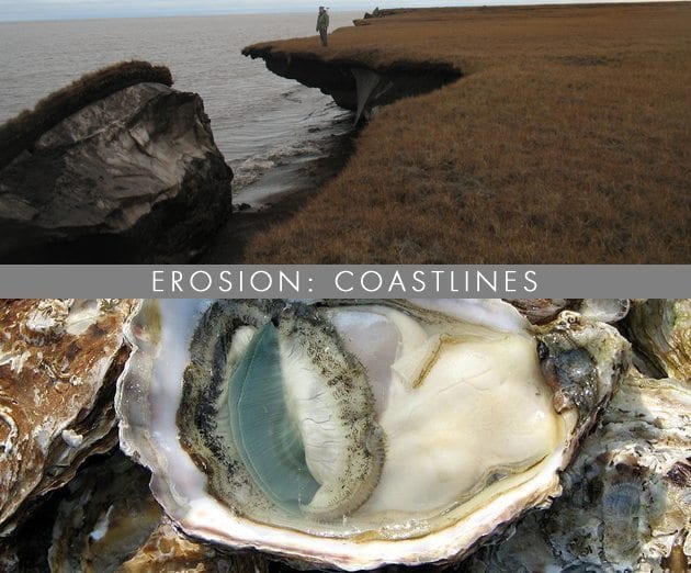 Erosion-Coastlines