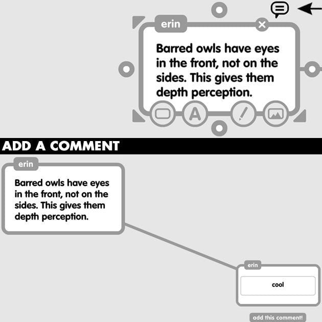 Popplet-Comments