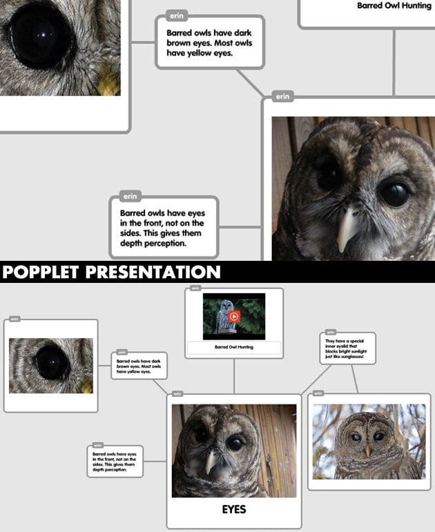 Popplet-Presentation