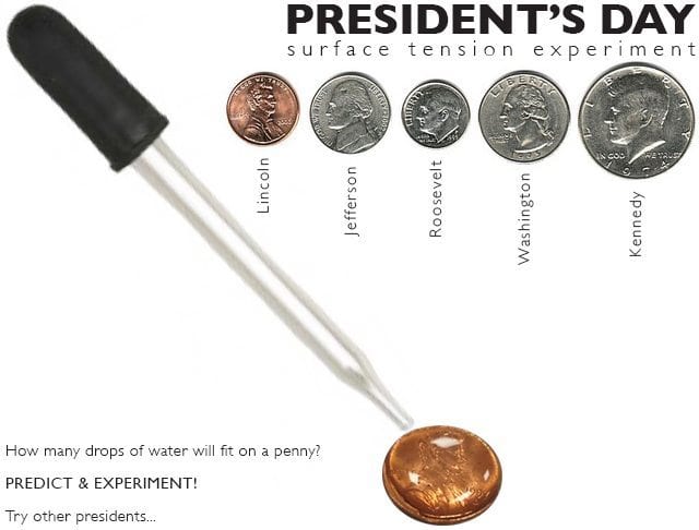 Presidents-Day-Experiment