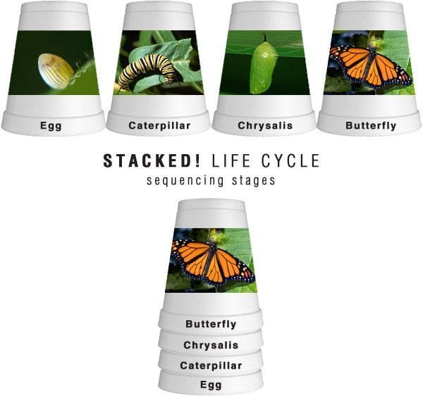Stacked lifecycle