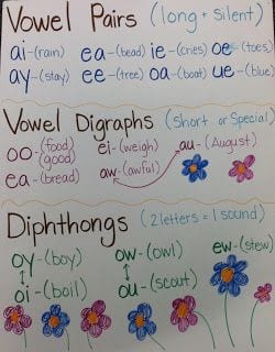 Vowel pairs anchor chart.