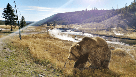 WETA Yellowstone