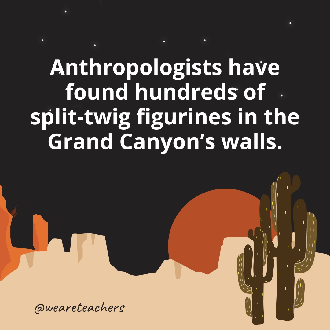 Anthropologists have found hundreds of split-twig figurines in the Grand Canyon's walls.