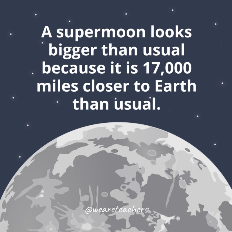 A supermoon looks bigger than usual because it is 17,000 miles closer to Earth than usual as example of facts about the moon. 