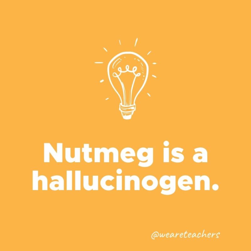 Nutmeg is a hallucinogen.- weird fun facts