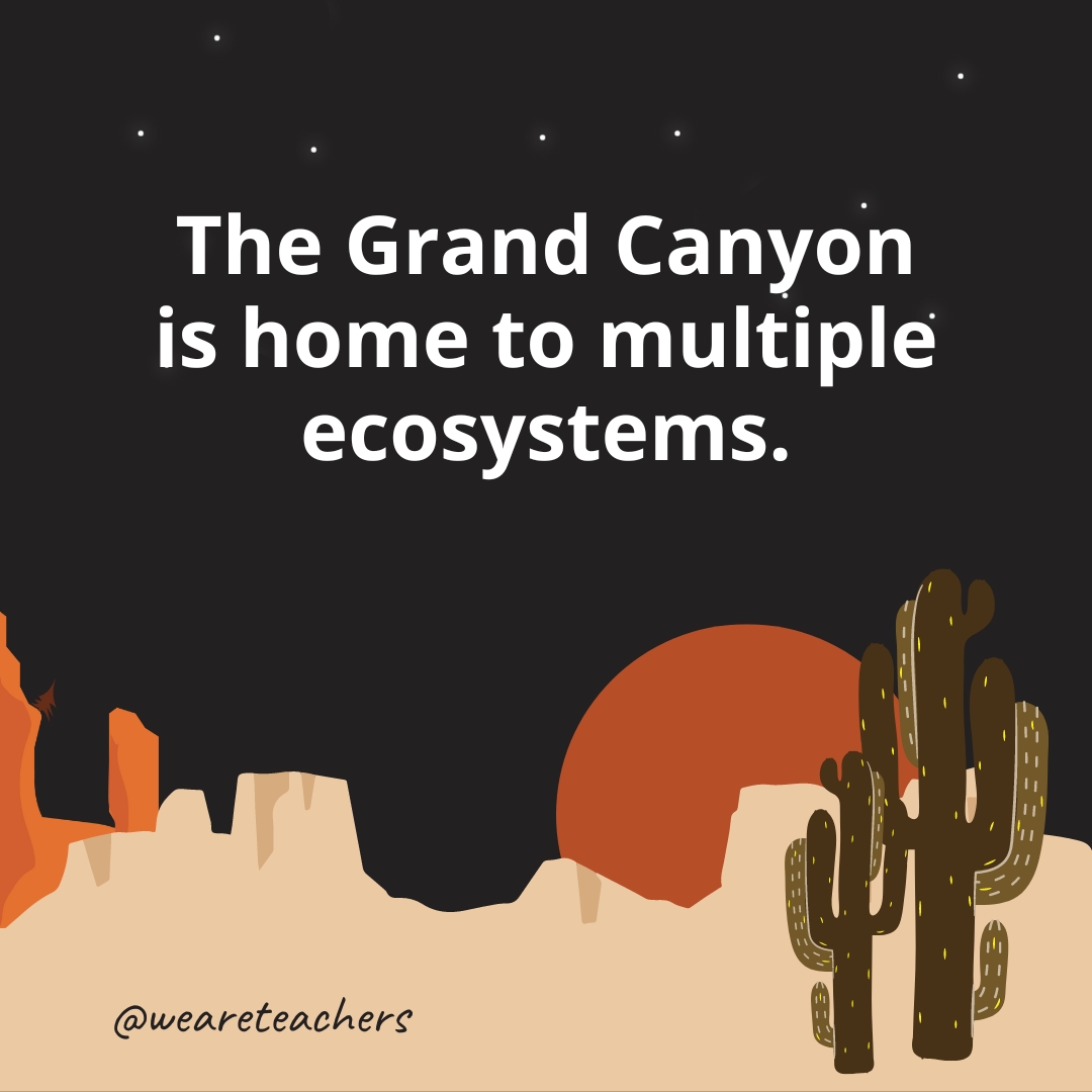The Grand Canyon is home to multiple ecosystems.