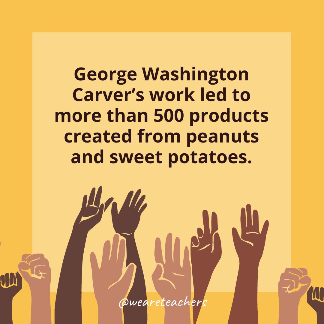 George Washington Carver’s work led to more than 500 products created from peanuts and sweet potatoes.
