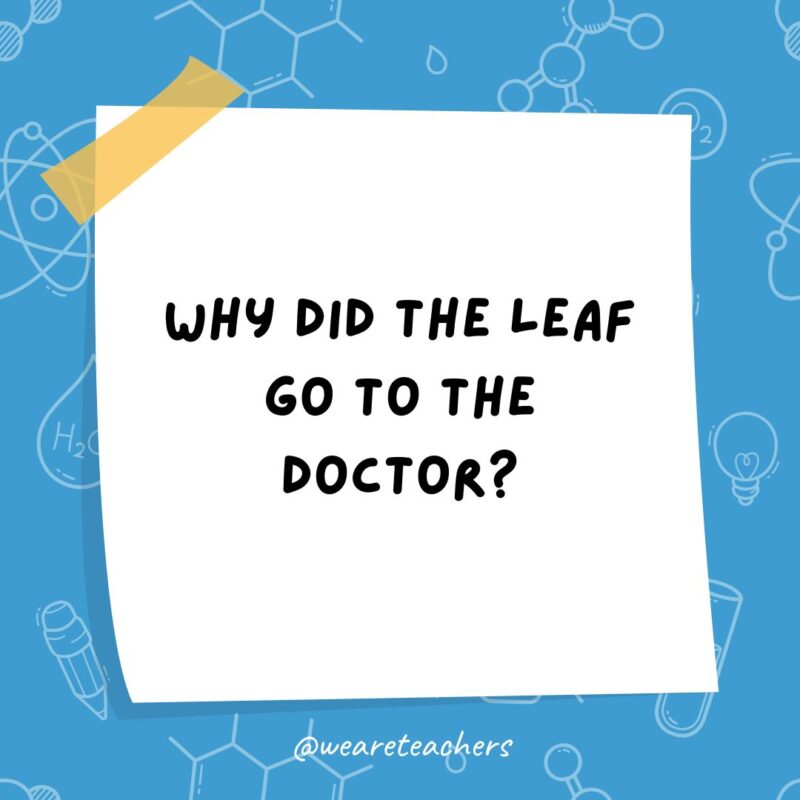 Science Jokes a post it note clipart with the joke: why did the leaf go to the doctor?