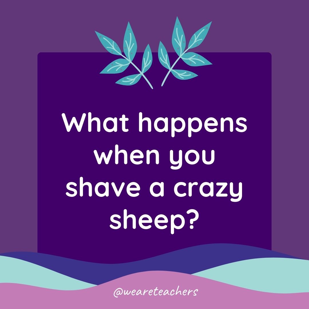 Animal Jokes for Kids