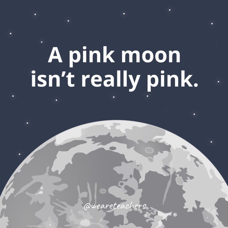 A pink moon isn’t really pink. 