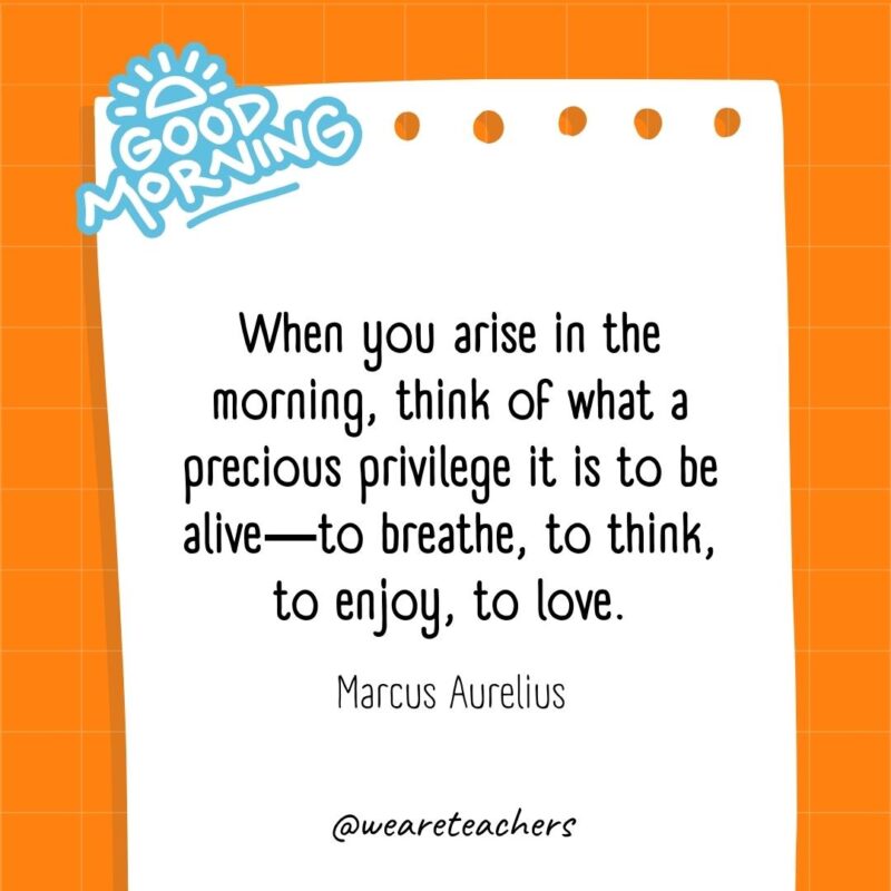 When you arise in the morning, think of what a precious privilege it is to be alive―to breathe, to think, to enjoy, to love. ― Marcus Aurelius