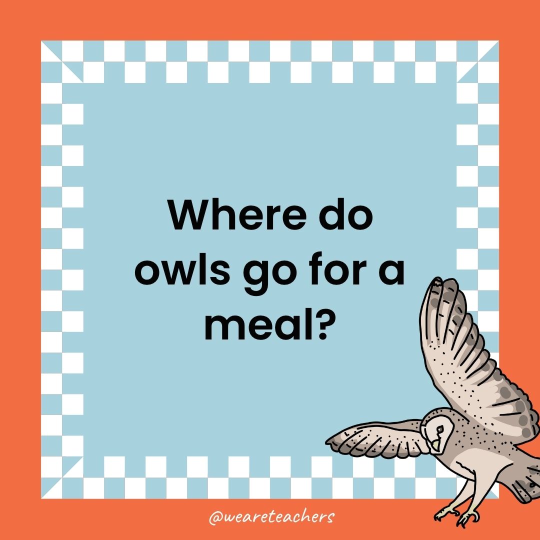 80 Owl Jokes That Are a Hoot - July 2025