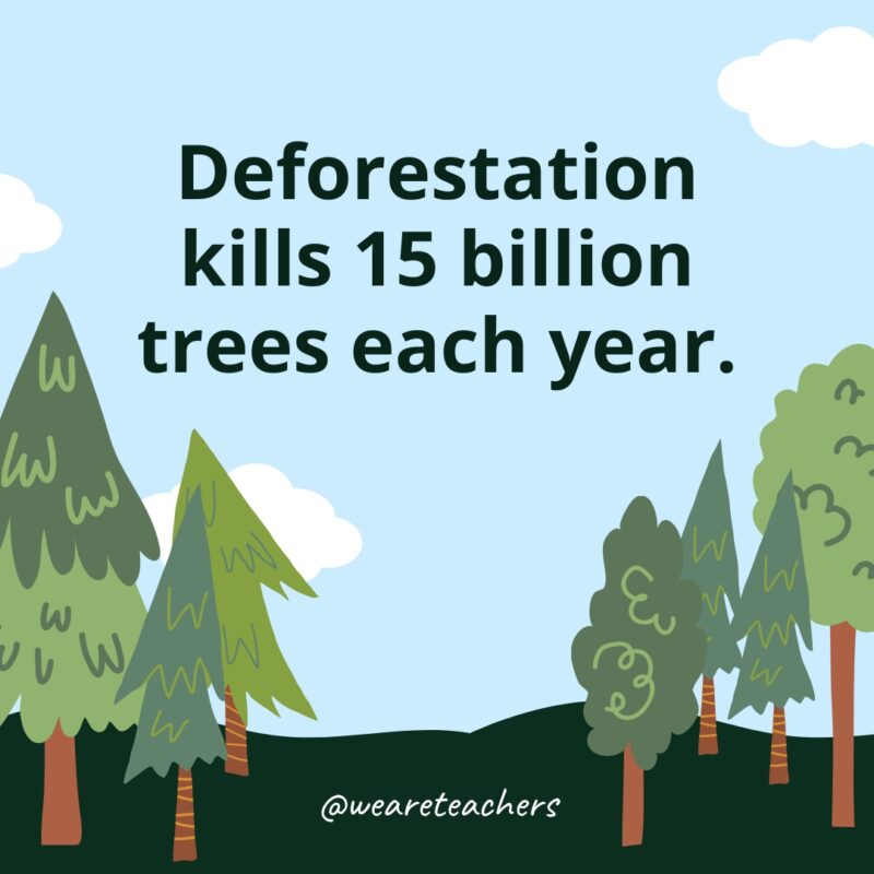 Deforestation kills 15 billion trees each year.