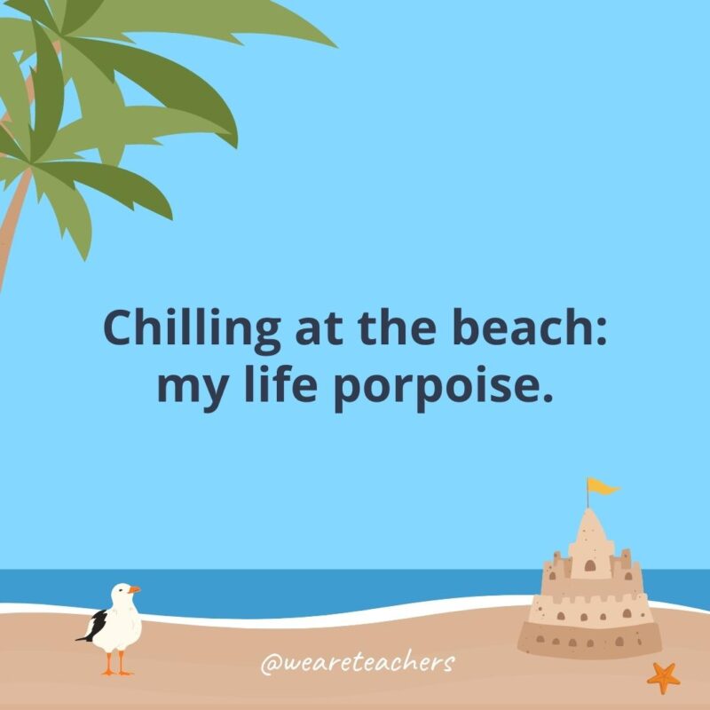 Chilling at the beach: my life porpoise.- beach quotes