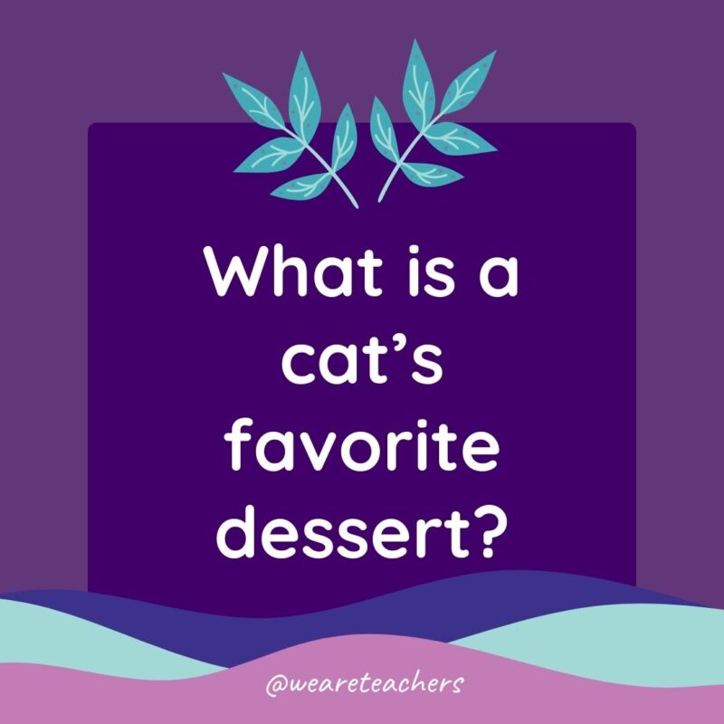 Animal Jokes for Kids