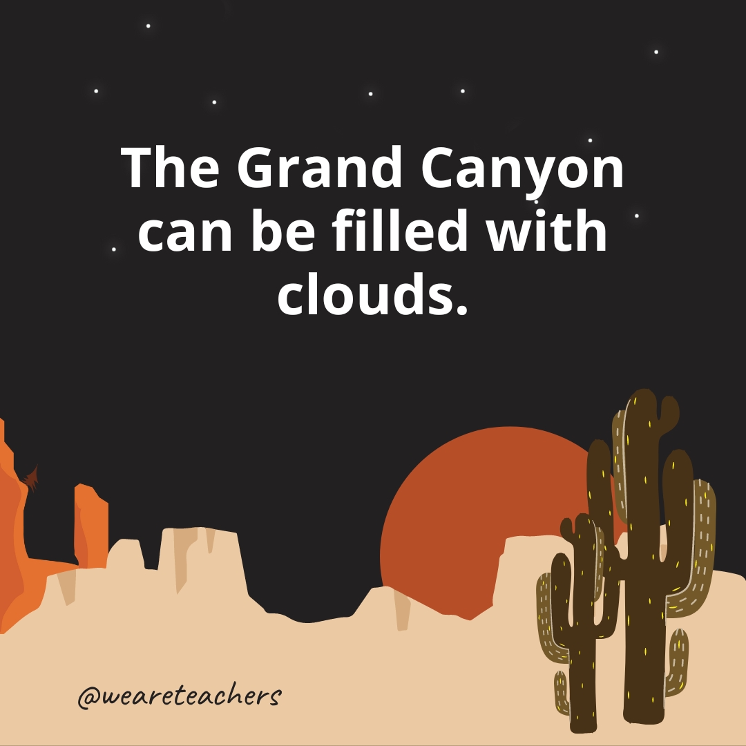 The Grand Canyon can be filled with clouds.