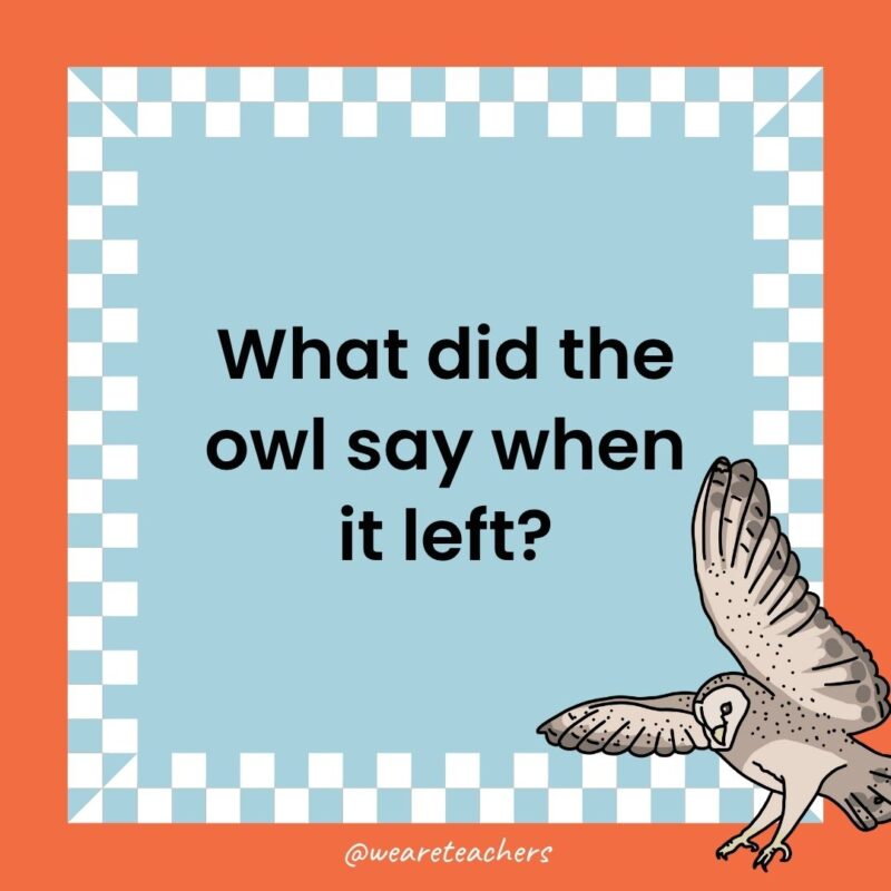 Owl Jokes for Kids a joke that states: What did the owl say when it left?