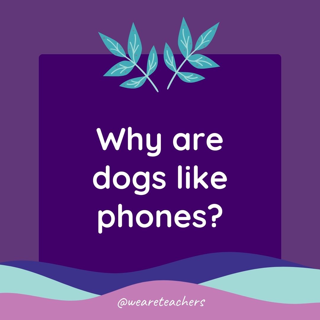 Animal Jokes for Kids