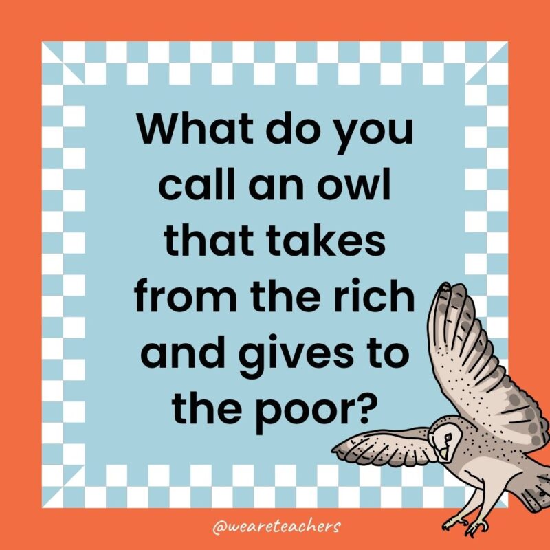Owl Jokes for Kids a joke that states: What do you call an owl that takes from the rich and gives to the poor?