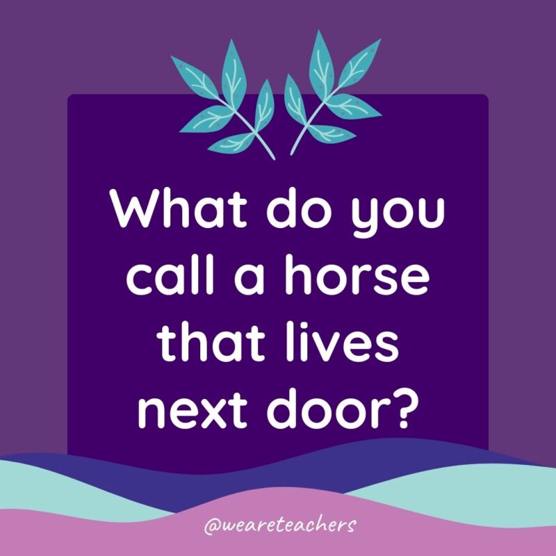 Animal Jokes for Kids