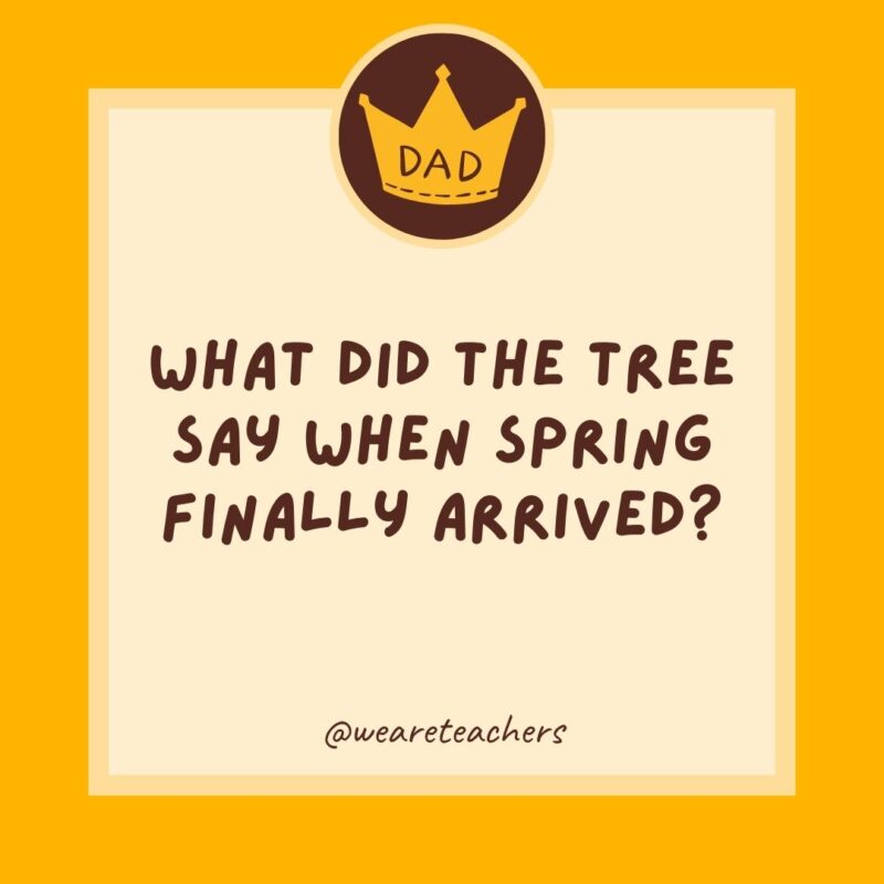300 Cheesy Dad Jokes Everyone Will Love