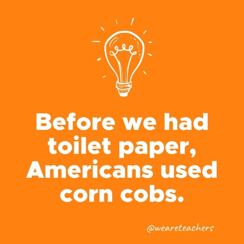 Before we had toilet paper, Americans used corn cobs.
