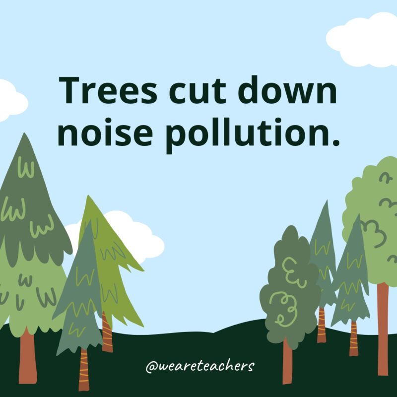 Trees cut down noise pollution.