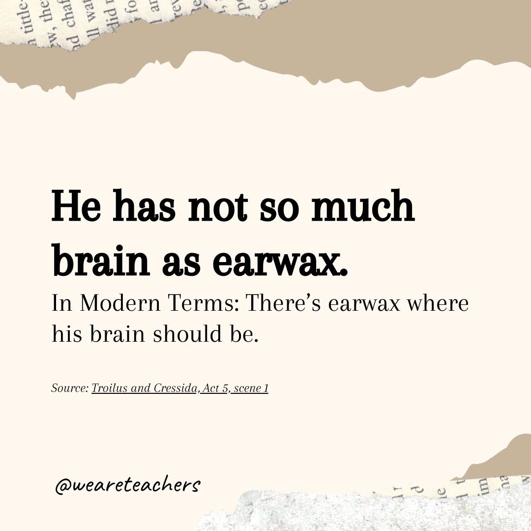He has not so much brain as earwax. 
