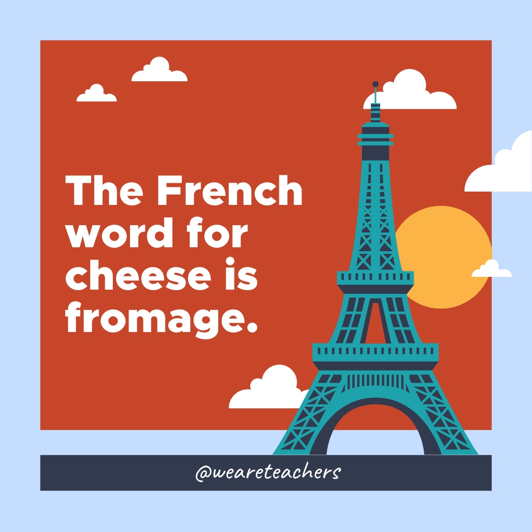 The French word for cheese is fromage. 