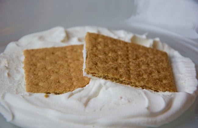 Two graham crackers overlapping on a bed of whipped cream