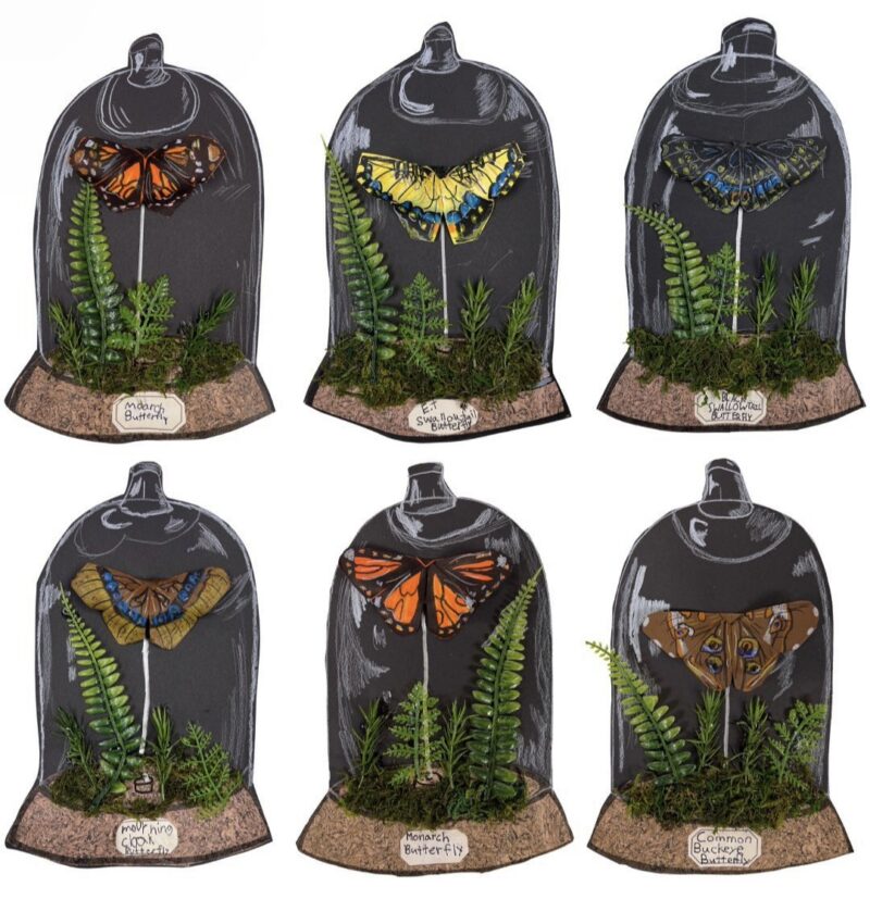 Paper insect terrariums made by 2nd grade art students