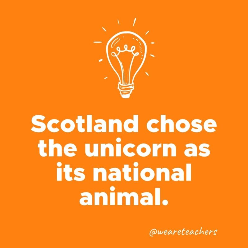 Scotland chose the unicorn as its national animal.