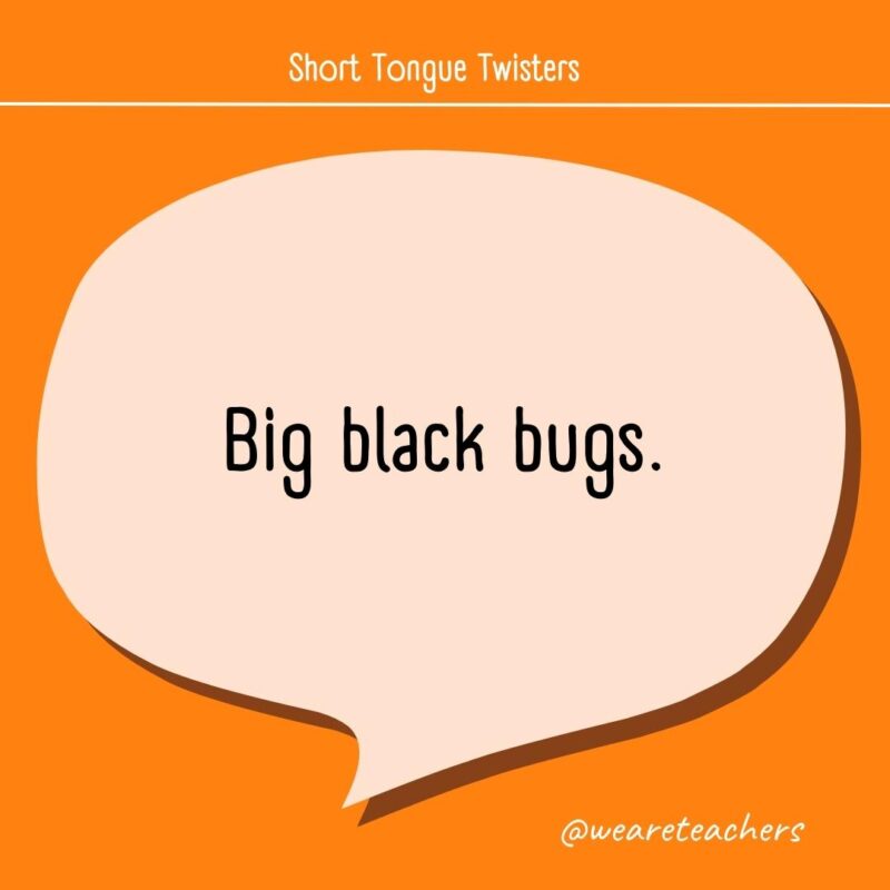 Big black bugs.