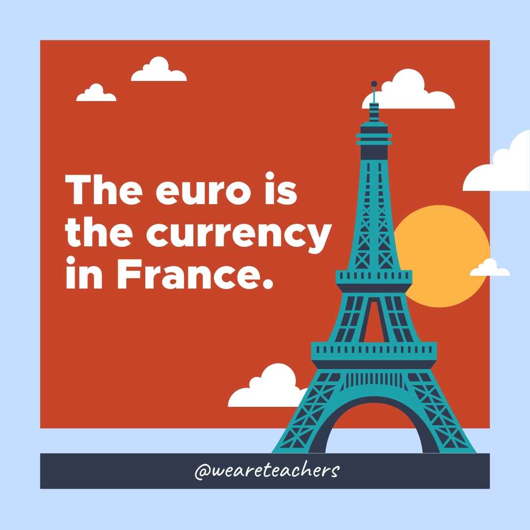 The euro is the currency in France.