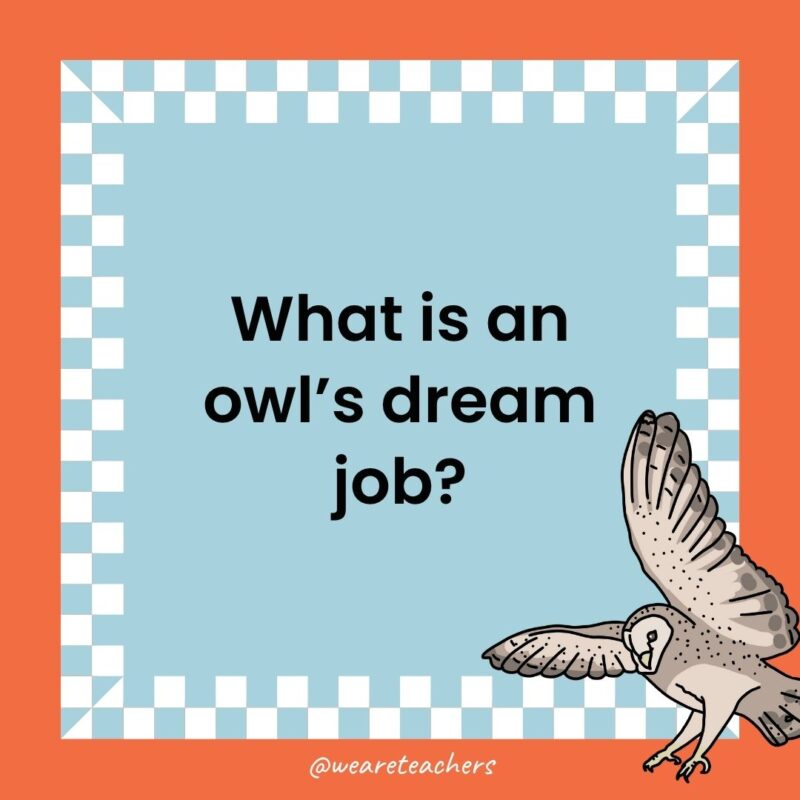 Owl Jokes for Kids a joke that states: What is an owl’s dream job?