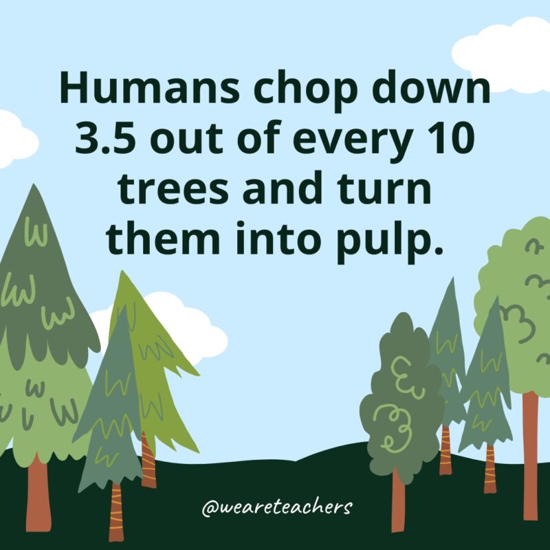 Humans chop down 3.5 out of every 10 trees and turn them into pulp.