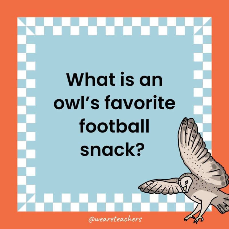 Owl Jokes for Kids a joke that states: What is an owl’s favorite football snack?