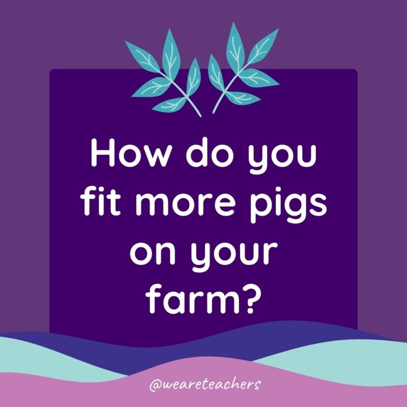 Animal Jokes for Kids