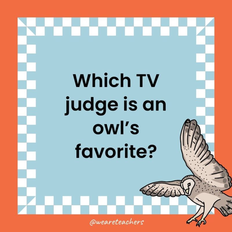 Owl Jokes for Kids a joke that states: Which TV judge is an owl’s favorite?