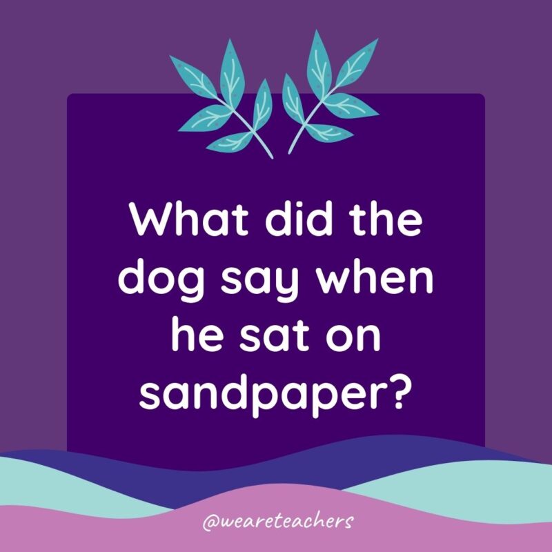 Animal Jokes for Kids