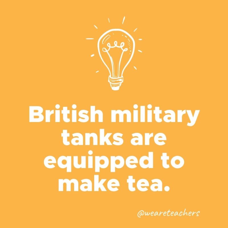 British military tanks are equipped to make tea.