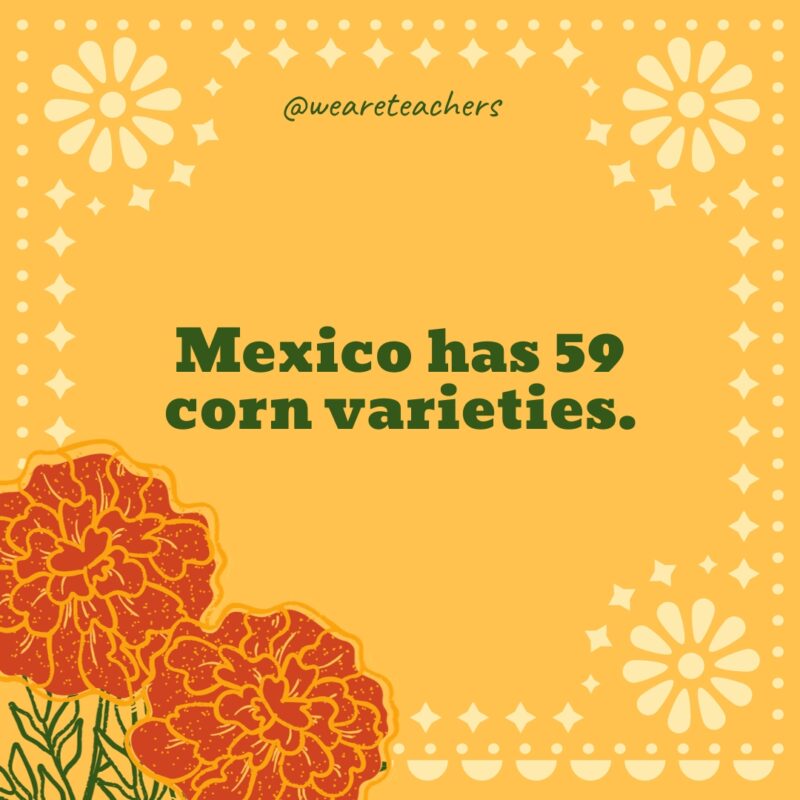 Mexico has 59 corn varieties.